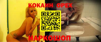 Альфа ПВП Новодвинск